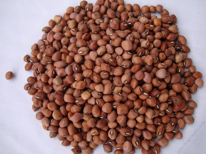 cuFRwCowPeas Ken Kunde (1)