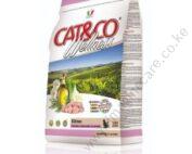 Cat & Co Wellness Kitten