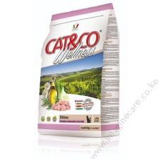 Cat & Co Wellness Kitten