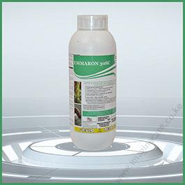 emmaron-012 (1)