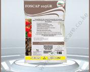 foscap 2-01