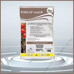foscap 2-01