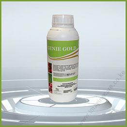 genie gold-01 (2)
