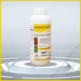 golden leaf-01 (1)