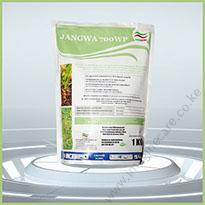 jangwa-012 (1)