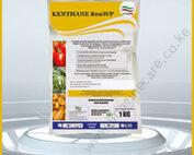 kenthane-01 (6)
