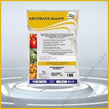 kenthane-01 (6)
