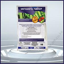 metameta-01 (2)