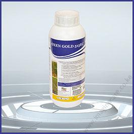 oxen gold-012 (2)