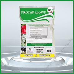 protap-01 (2)