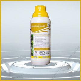 sonalan-012