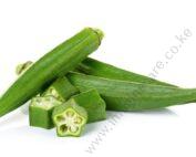 t9KNEokra