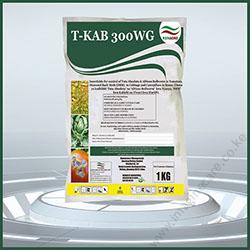 tkab-012