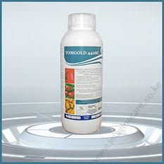 tomgold-01 (4)