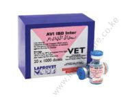 AVI IBD Inter 1000doses
