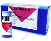 AVI IBD Plus