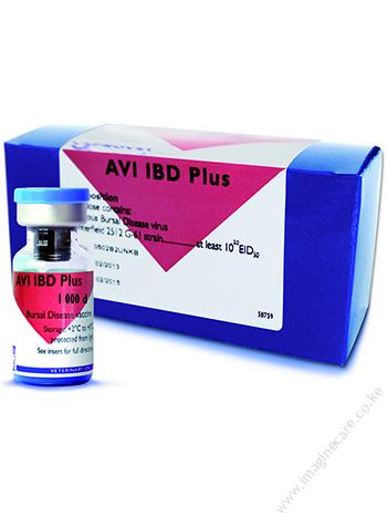 AVI IBD Plus