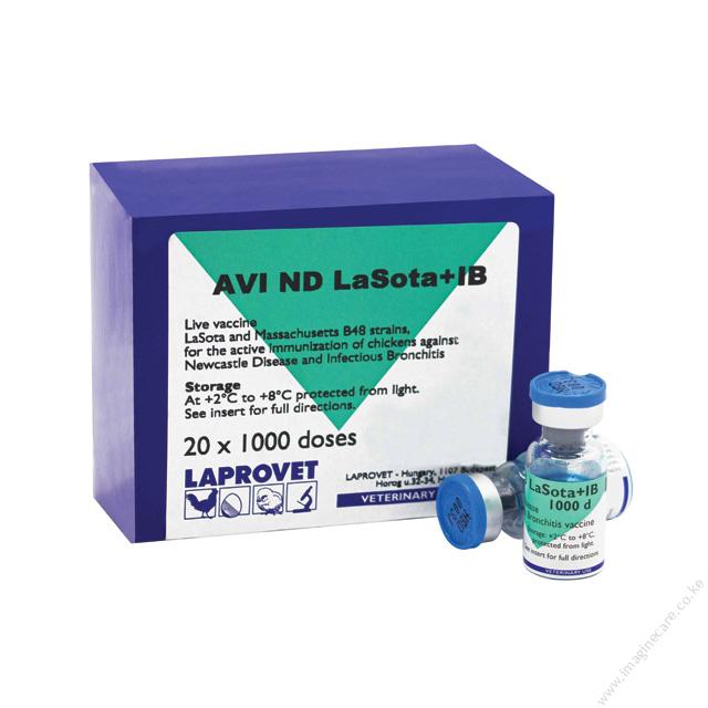 AVI ND LA SOTA+IB 1000 DS AN/FR {500MLX1000Doses}