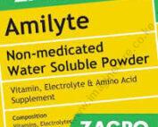 Amilyte