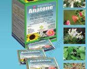 Anatone-min_1583824823