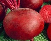Red beet Detroit