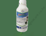 Belt_SC_8bfb2270e1 (1)