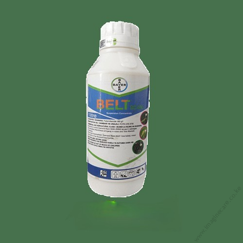 Belt_SC_8bfb2270e1 (1)