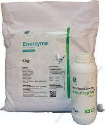 Enerzyme