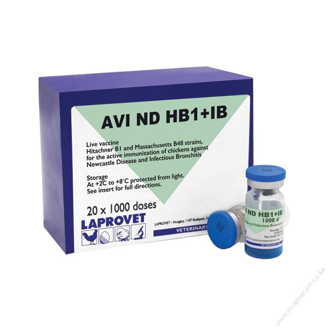 AVI ND HBI+IB