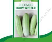 Hybrid Cucumber Snow White F1