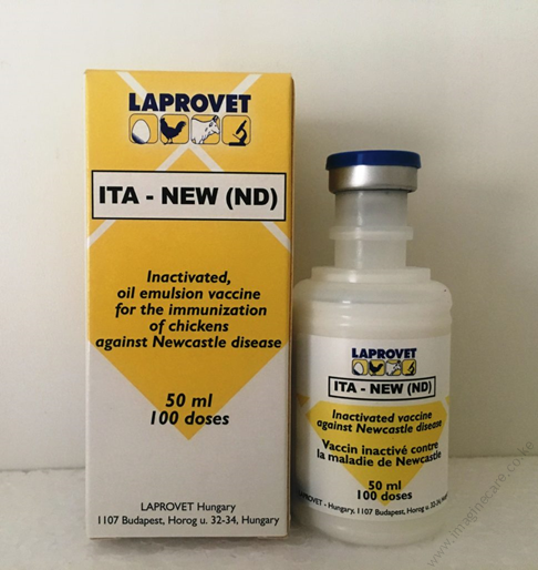 Ita New 1pc