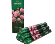 Shalimar Lotus Incense Sticks (Pack of 6)