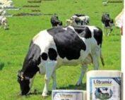 Ultramix Maziwa Block