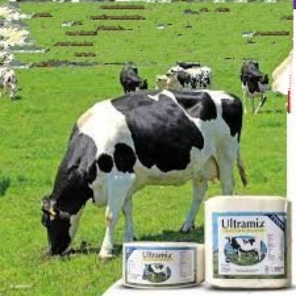 Ultramix Maziwa Block