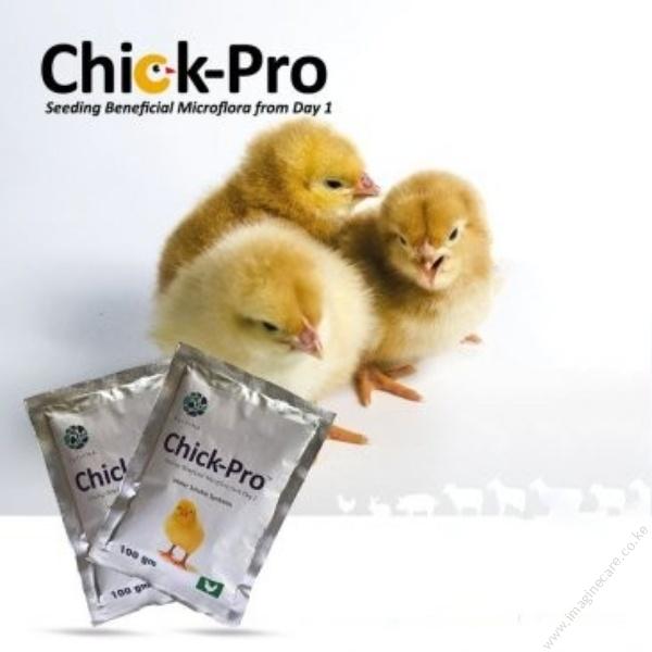 Chick Pro