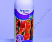 tecamin-flower-700x972