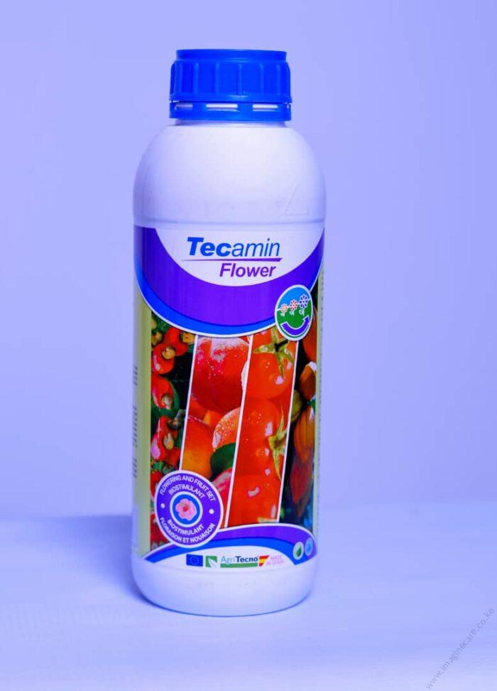 tecamin-flower-700x972