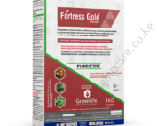 Fortress-Gold (3)