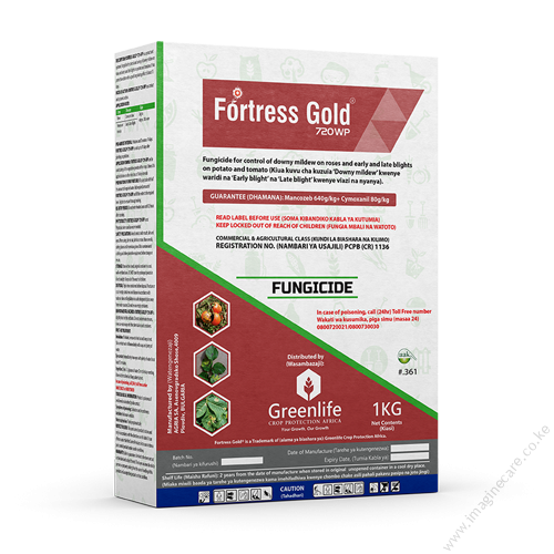 Fortress-Gold (3)