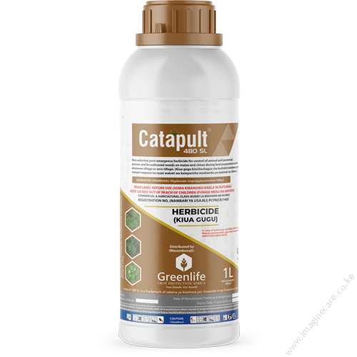 catapult_480sl (4)