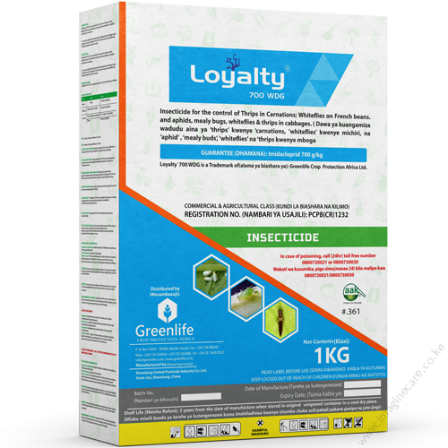 loyalty (1)