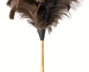 feather-duster-600x855