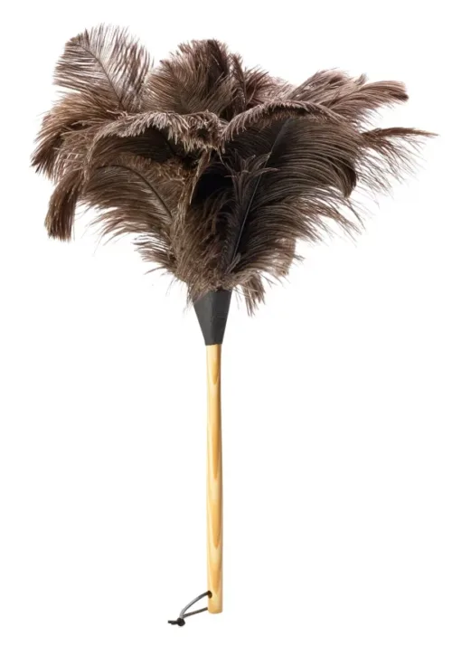feather-duster-600x855