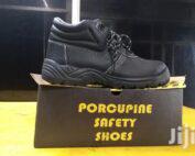 Porcupine