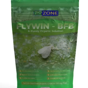 FlyWin-BFB