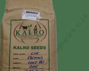 Kalro_Yellow_beans_0ebc4f9198 (2)