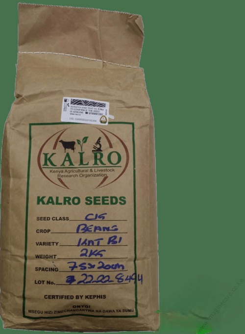 Kalro_Yellow_beans_0ebc4f9198 (2)