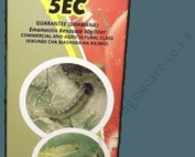 Preshaur_5_EC_2e8e9c3f75 (3)