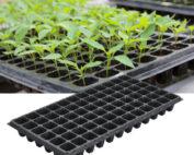 Seedling-Trays (1)