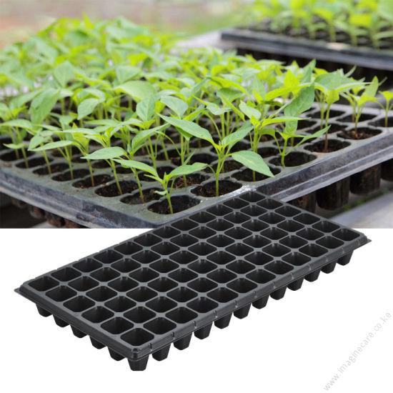 Seedling-Trays
